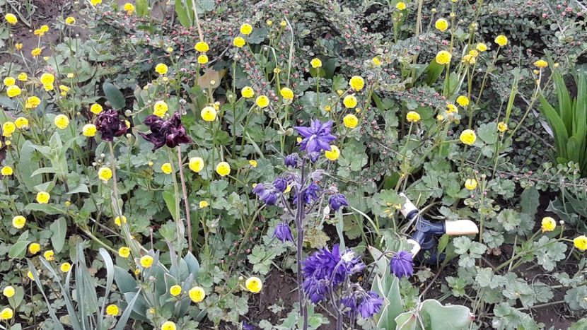  - Primavara 2019-2022