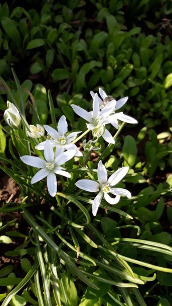  - Primavara 2019-2022