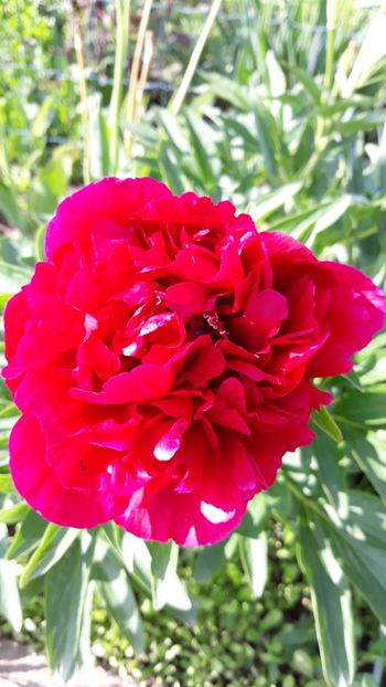  - Primavara 2019-2022