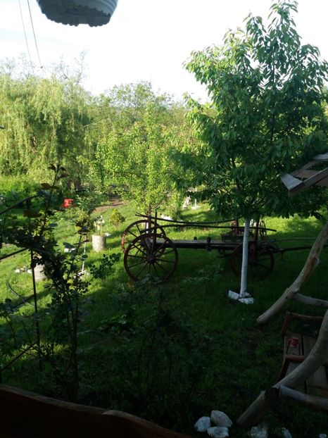  - Primavara in curte 2019