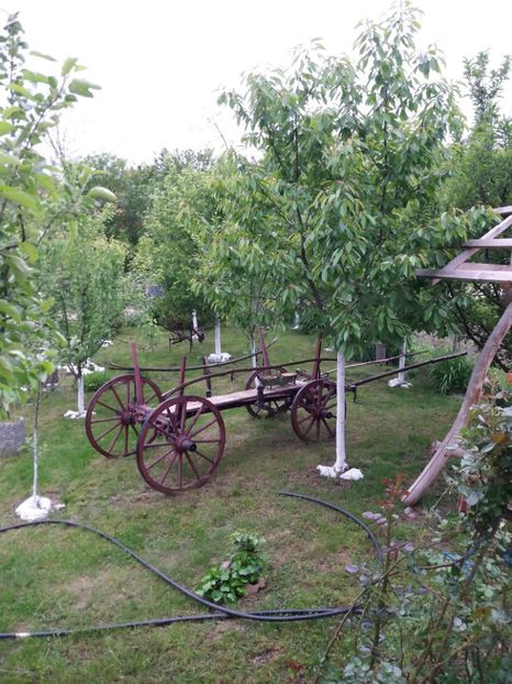  - Primavara in curte 2019