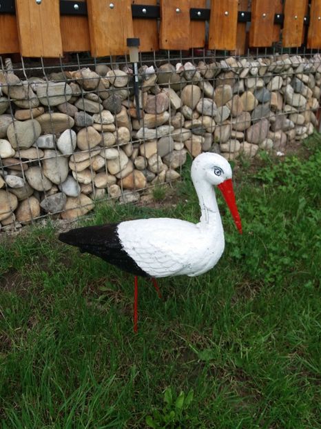  - Primavara in curte 2019