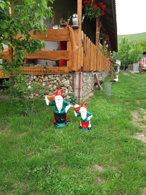  - Primavara in curte 2019