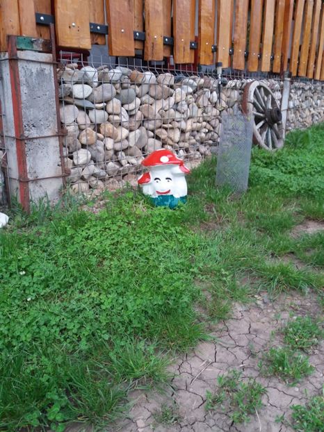  - Primavara in curte 2019