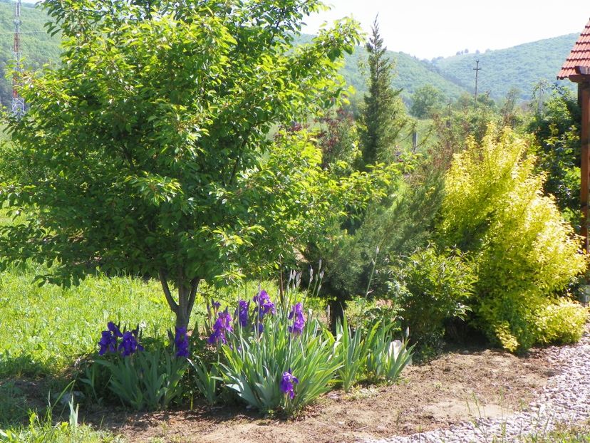 19 mai (35) - Dobarland 2019 2