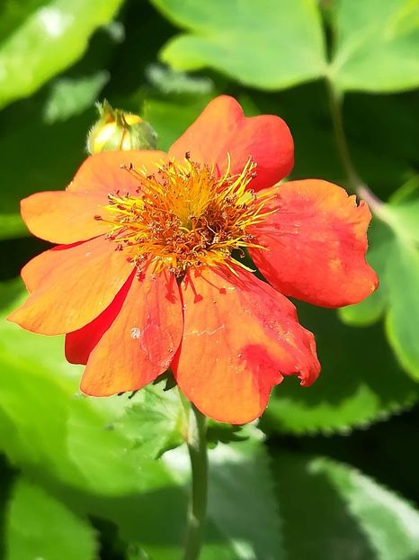 received_676441002793585 - Geum