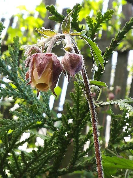 received_360160277959069 - Geum