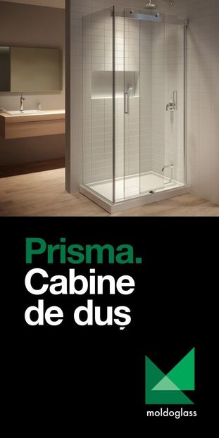 dusurile pot fi modernizate - - FOSTUL SPITAL DE BOLI PSIHICE CRONICE ROCK CLUB BORSA MARAMURES resedinta privata