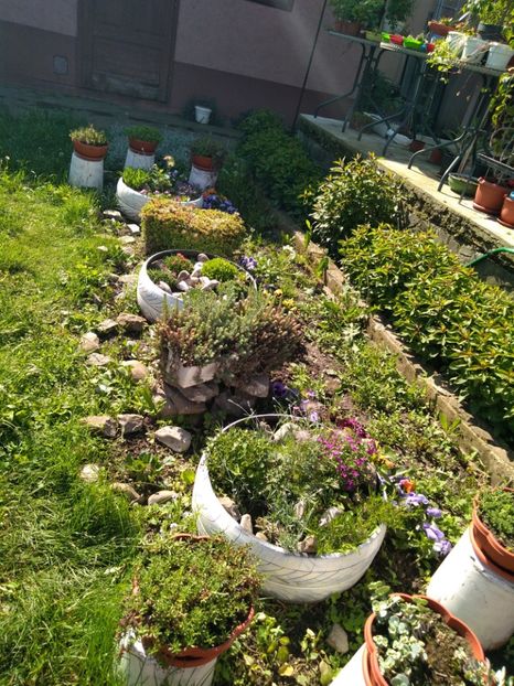  - Gradina mea