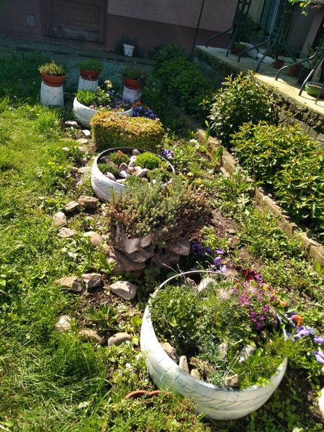  - Gradina mea