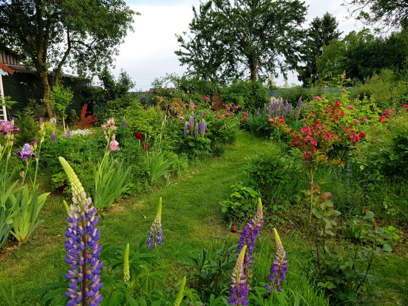  - 2019 Mai Idilic Garden