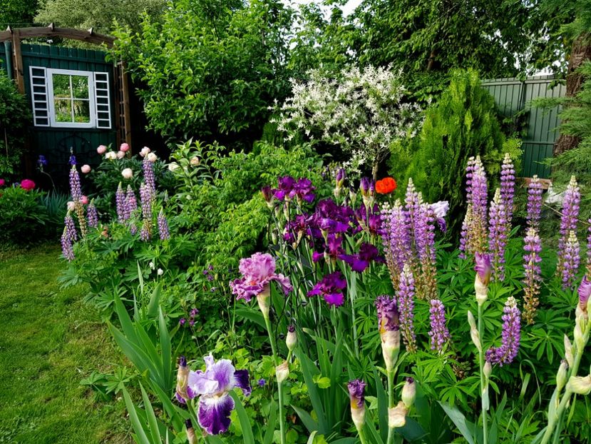  - 2019 Mai Idilic Garden