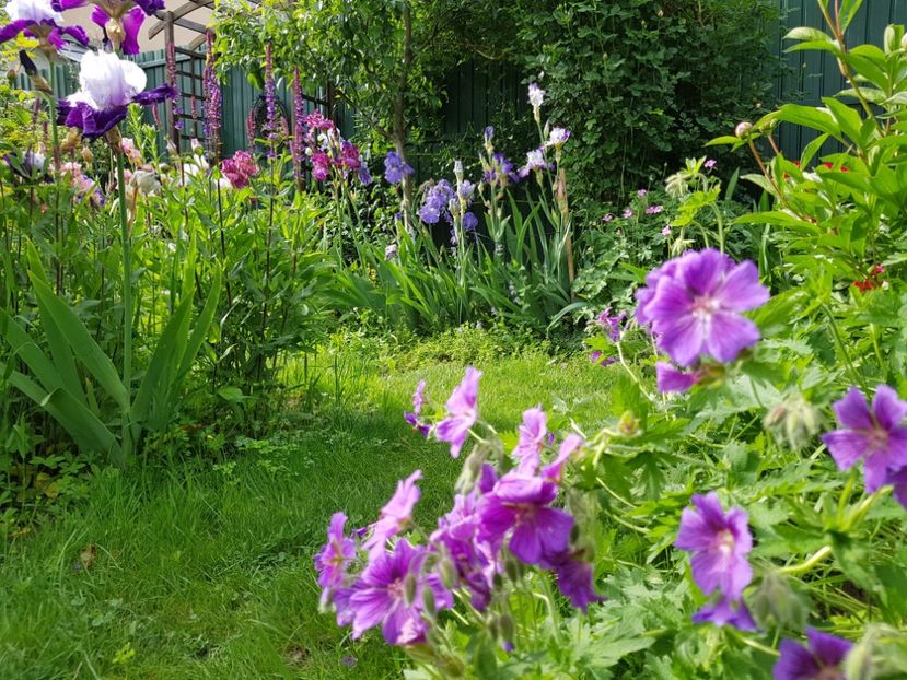  - 2019 Mai Idilic Garden