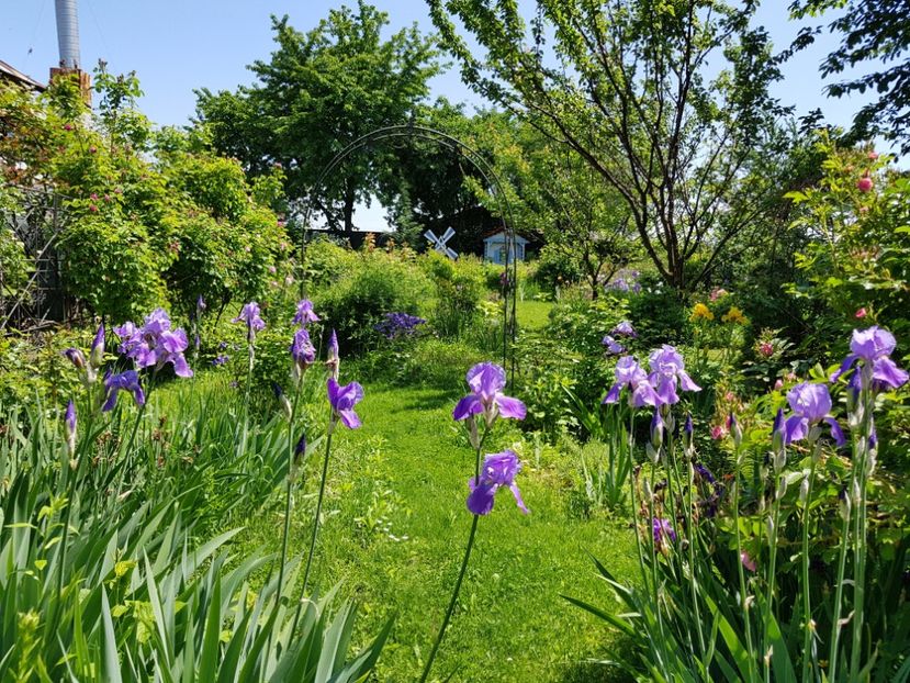  - 2019 Mai Idilic Garden
