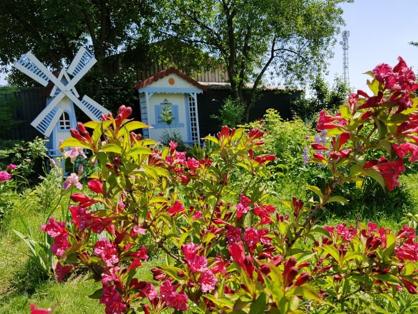  - 2019 Mai Idilic Garden