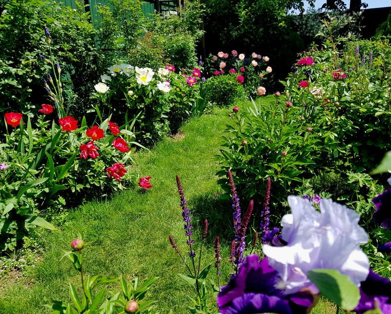  - 2019 Mai Idilic Garden