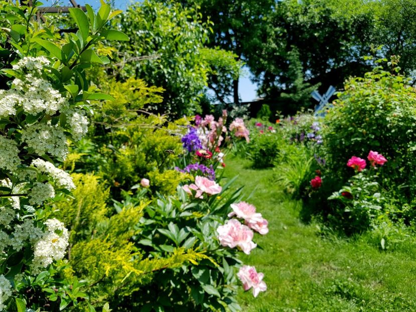  - 2019 Mai Idilic Garden