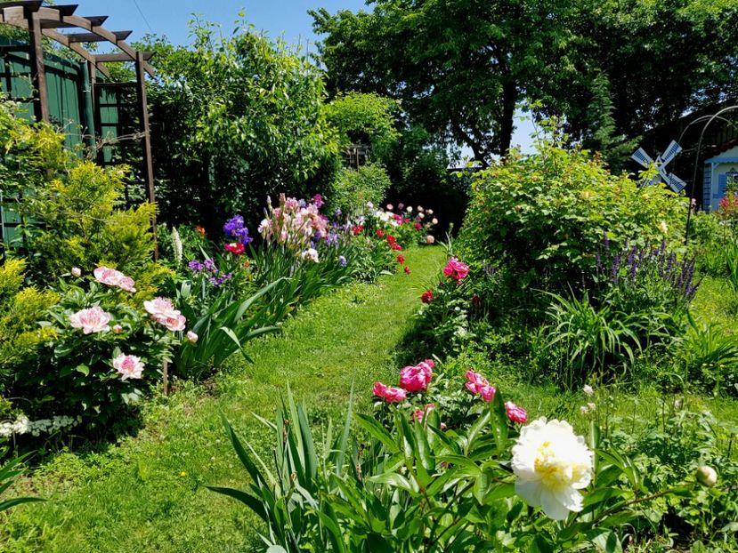  - 2019 Mai Idilic Garden