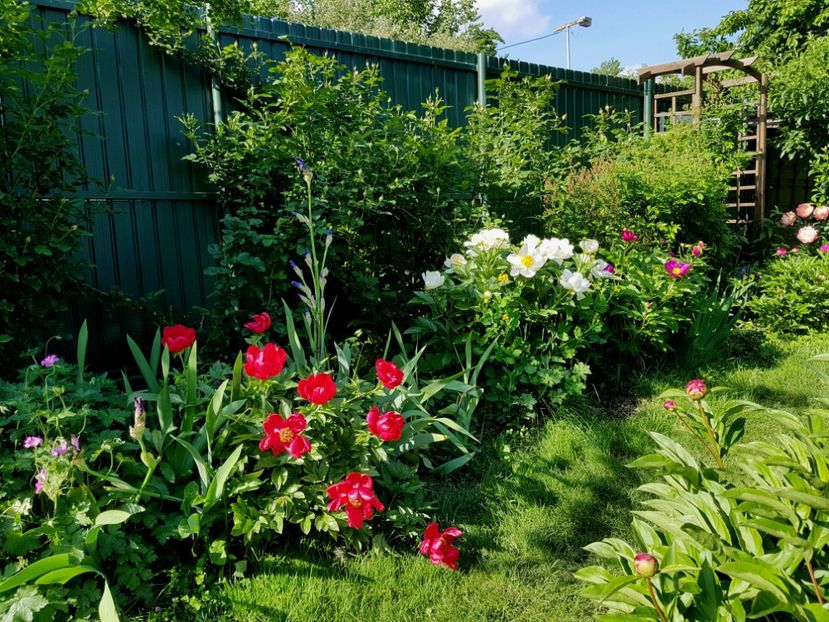  - 2019 Mai Idilic Garden