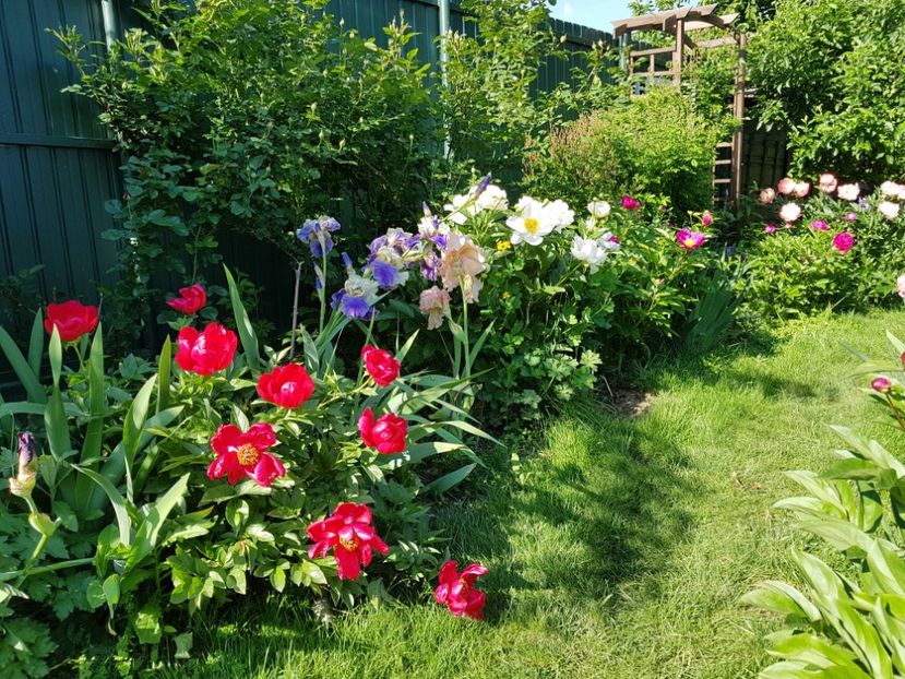  - 2019 Mai Idilic Garden