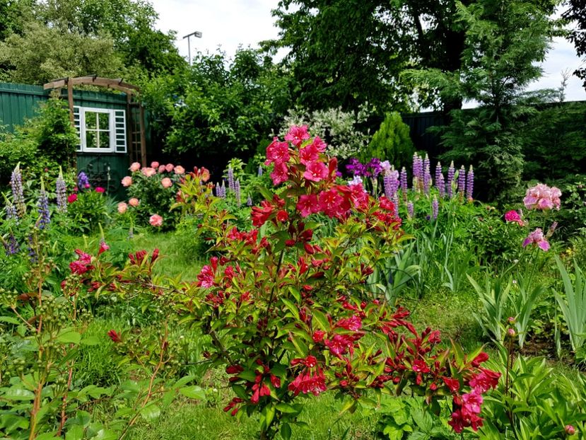  - 2019 Mai Idilic Garden