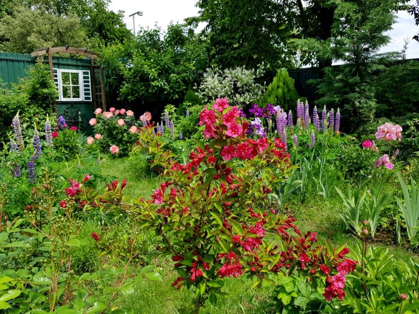  - 2019 Mai Idilic Garden