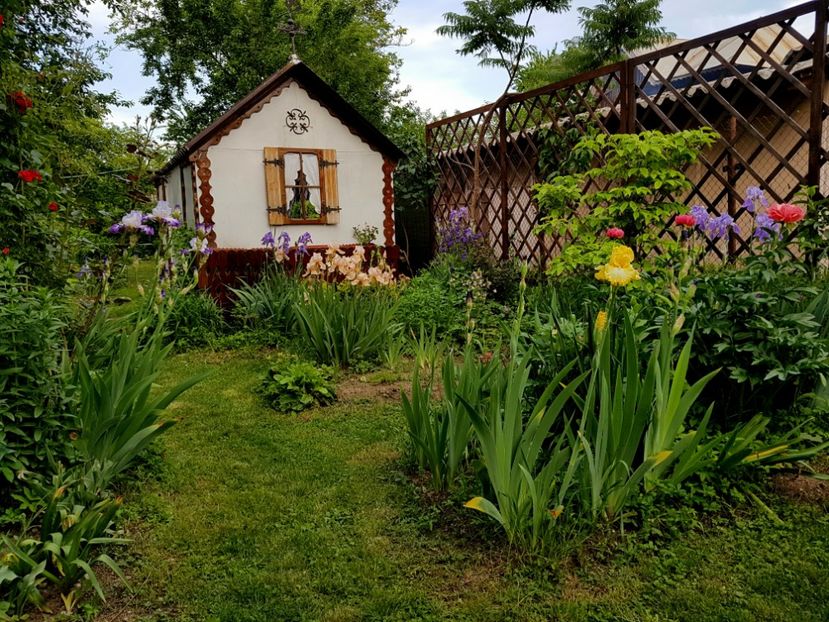  - 2019 Gradina Pridvor