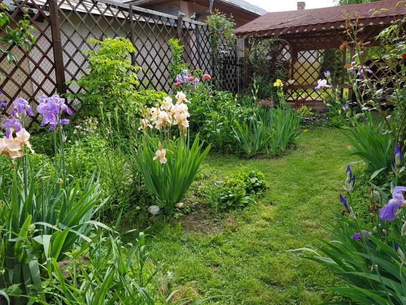  - 2019 Gradina Pridvor