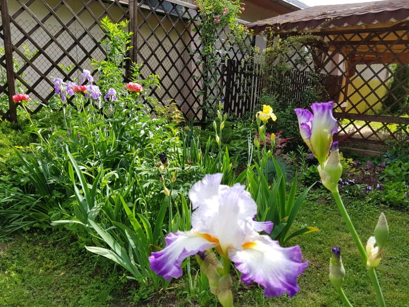  - 2019 Gradina Pridvor