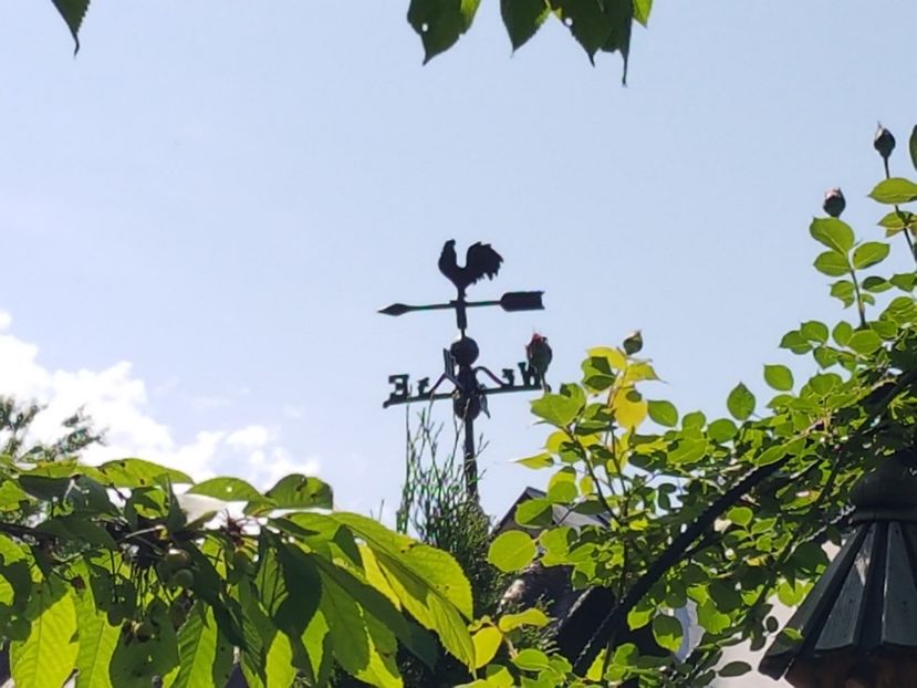  - 2019 Gradina Pridvor