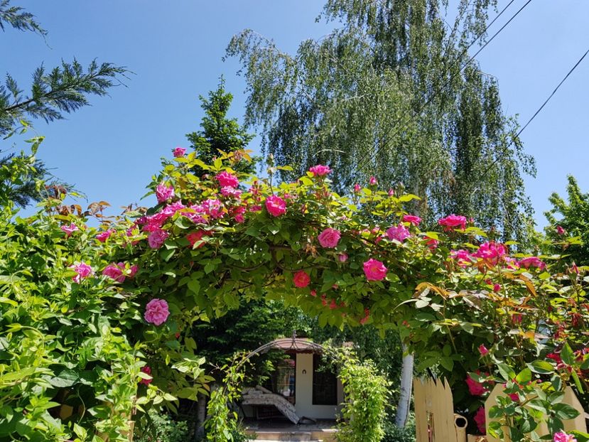  - 2019 Gradina