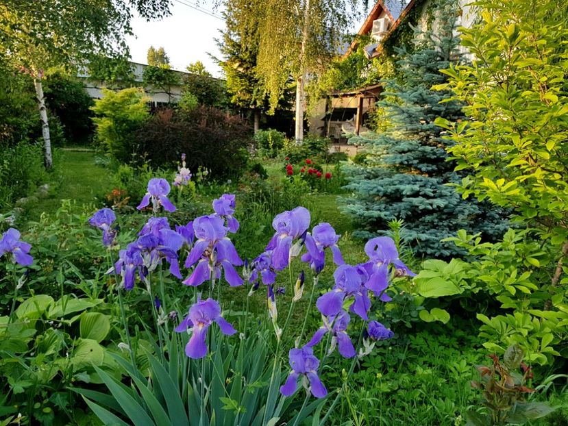  - 2019 Gradina