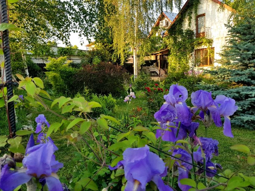  - 2019 Gradina