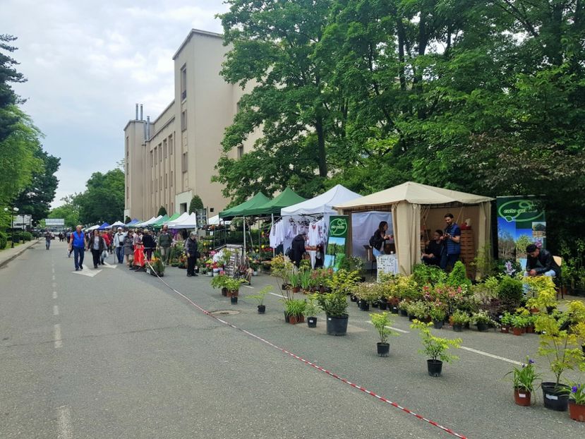 20190518_122413 (2) - v TARGUL DE FLORI de la FACULTATEA DE AGRICULTURA 17 19 MAI 2010