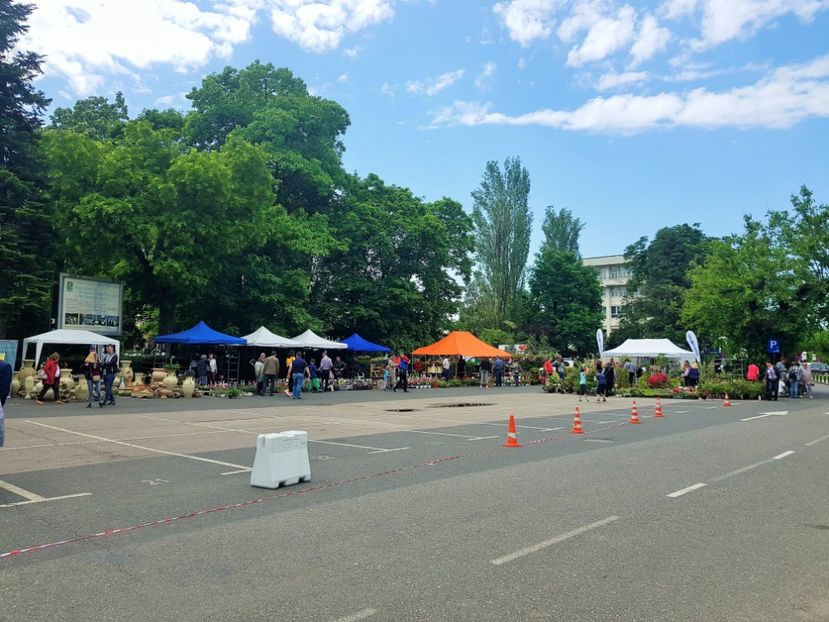  - v TARGUL DE FLORI de la FACULTATEA DE AGRICULTURA 17 19 MAI 2010