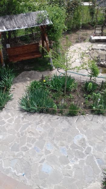  - Primavara 2019