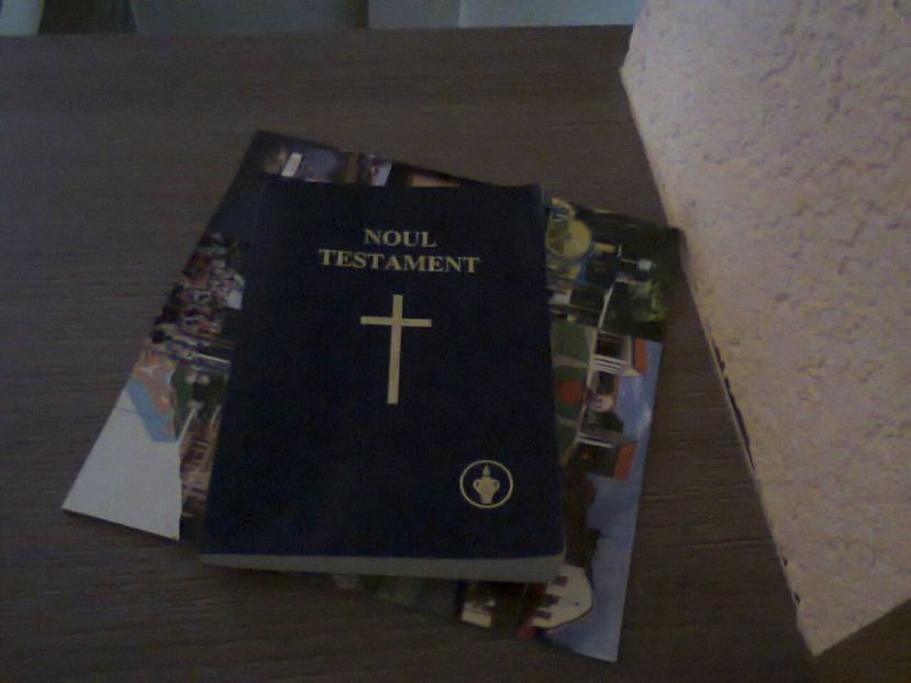 Fotografie5171 - 2019 CONCEDIU VILA SEBASTIAN19V-2VI