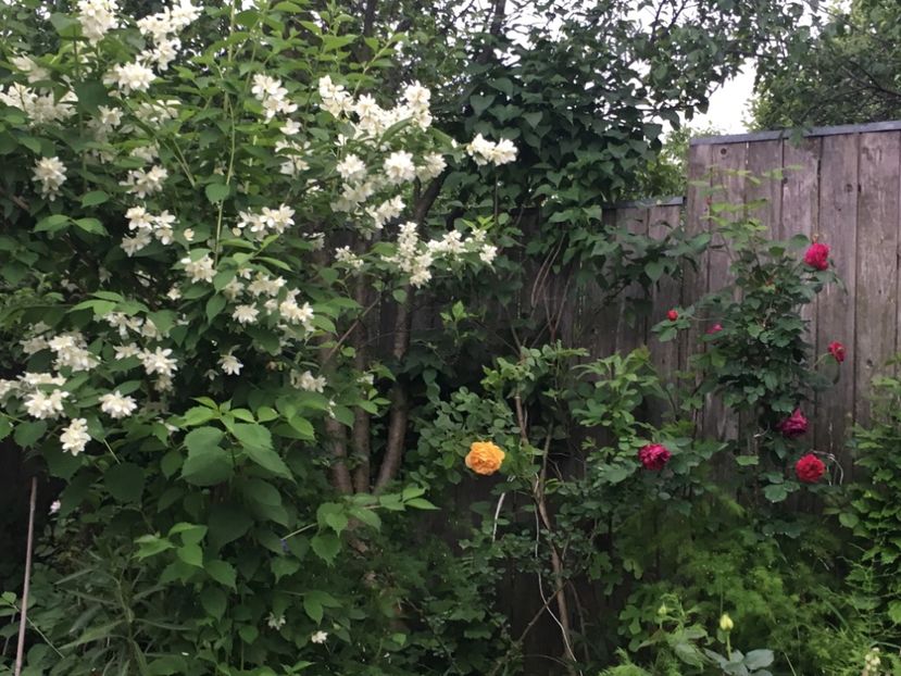 9FB70FEF-B613-492E-8689-DA536DDAEFC8 - Mai 2019