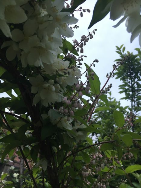 4A93017F-BE0F-48EB-B579-56C50A2BB396 - Mai 2019