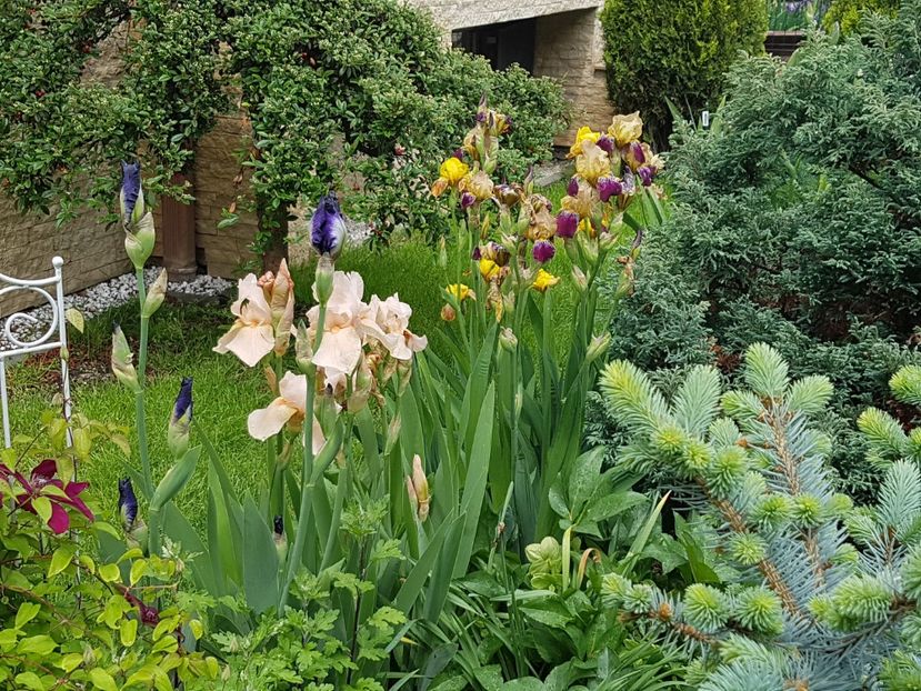  - Mai 2019