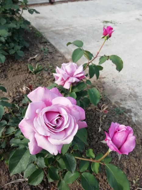 2019-20.05 - Charles du Gaulle