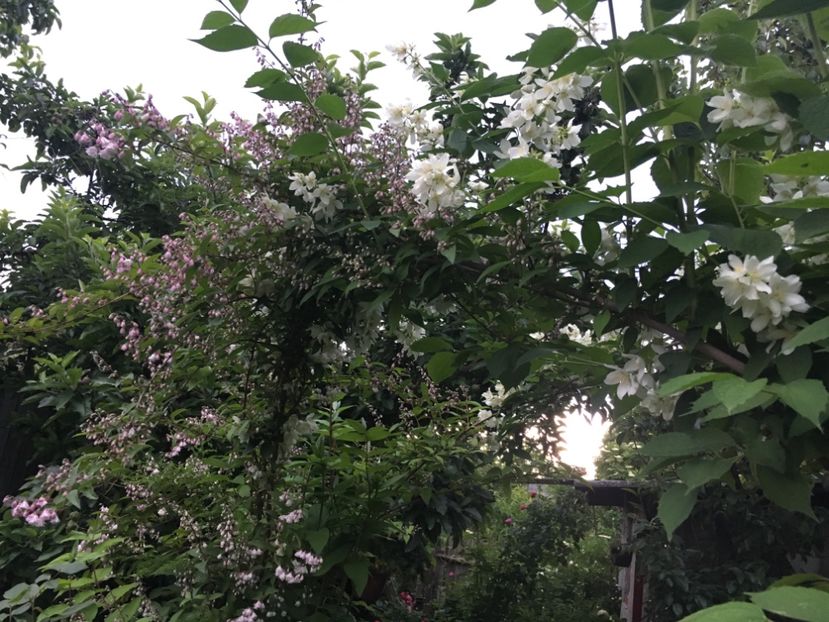 8DD9F012-E4A8-43F7-B70A-43EFC585255E - Mai 2019