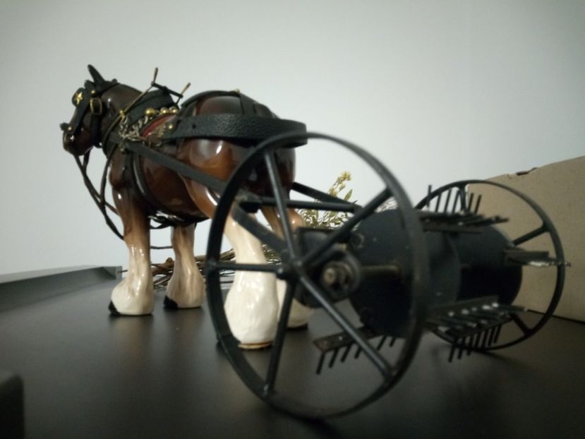 Cal Clydesdale cu risipitoare - 6 - Diverse