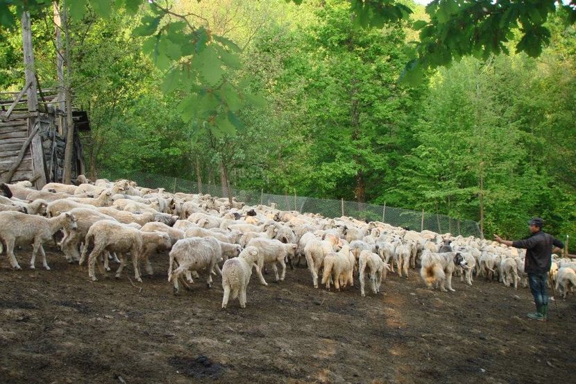 Sorin Corpodean - Dunarea Galati Istorie Part 2