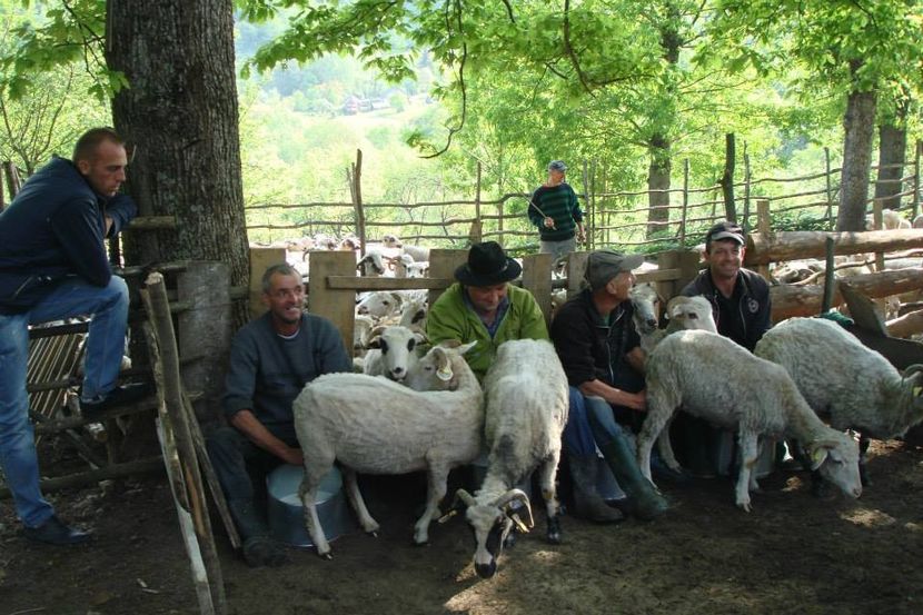 Sorin Corpodean - Dunarea Galati Istorie Part 2