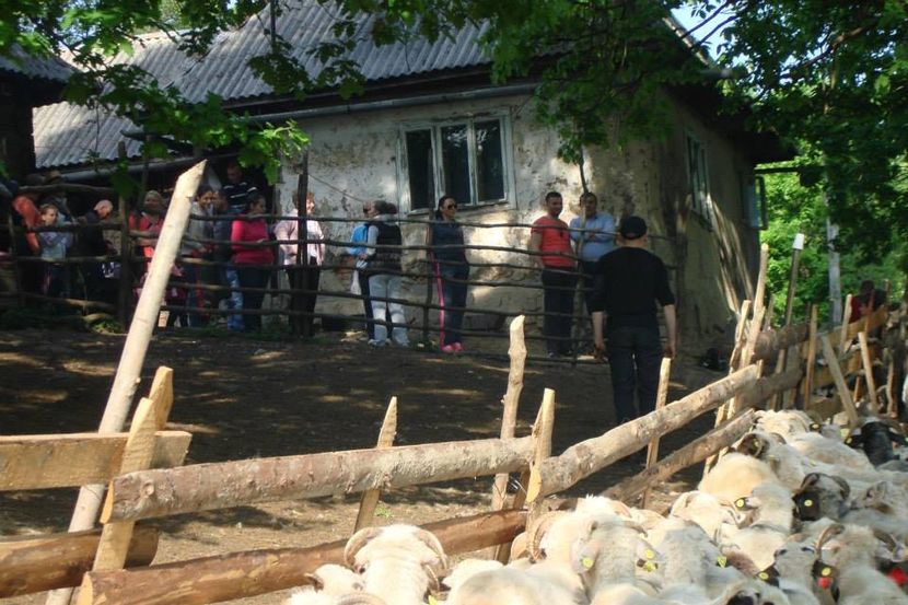 Sorin Corpodean - Dunarea Galati Istorie Part 2