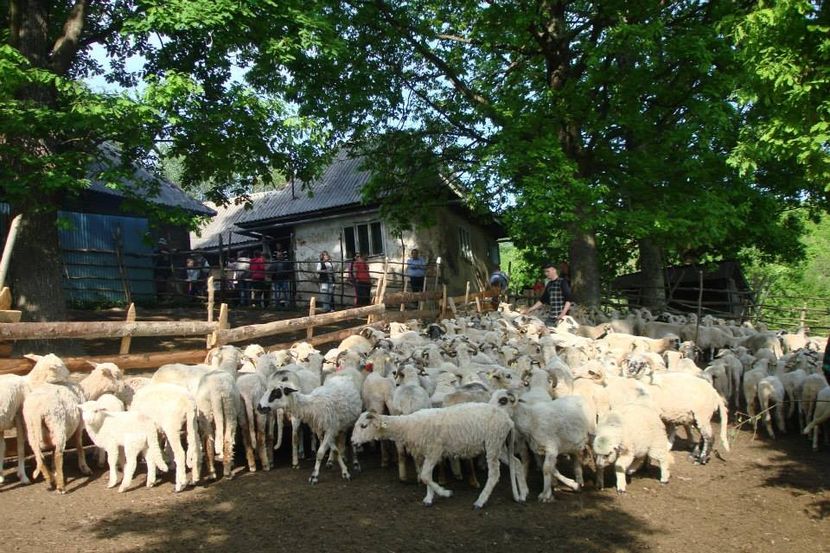 Sorin Corpodean - Dunarea Galati Istorie Part 2