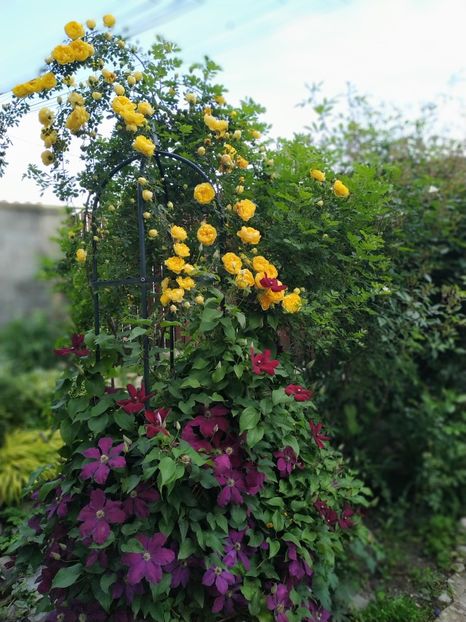  - MAI 2019- MAI 2020