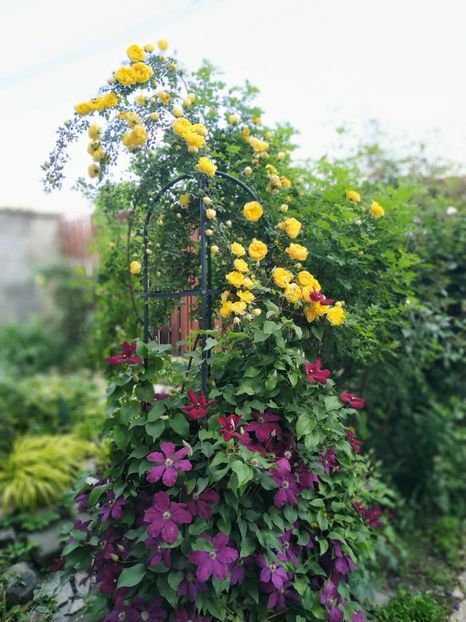  - MAI 2019- MAI 2020