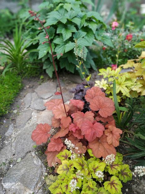  - MAI 2019- MAI 2020